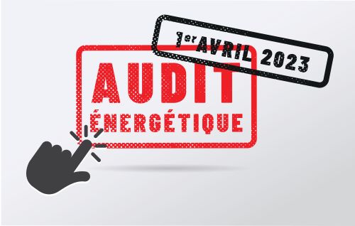 Audit énergétique obligatoire : quel impact ?